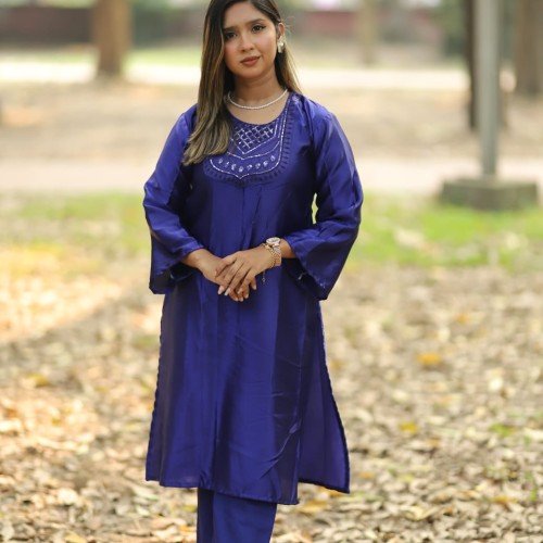 New Japani Silk Two Piece - নেকলেস ডিজাইন ও বাটারফ্লাই সেলোয়ার সহ স্টাইলিশ টু পিস